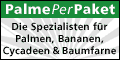 palmeperpaket Gutscheincode