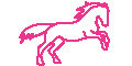 pferd-in-pink Gutscheincode